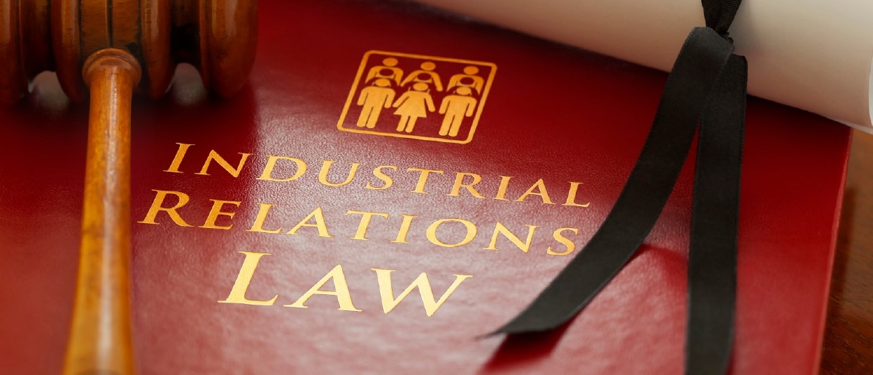 17 gennaio 2025 | Corso di formazione ADAPT "Mercati del lavoro e sistemi di relazioni industriali"