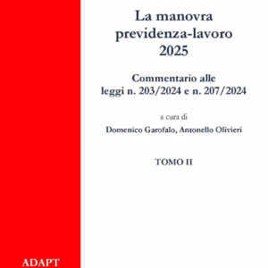 La manovra previdenza-lavoro 2025. Commentario alle leggi n. 203/2024 e n. 207/2024. TOMO II