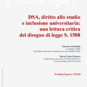 DSA, diritto allo studio  e inclusione universitaria: una lettura critica del disegno di legge S. 1508